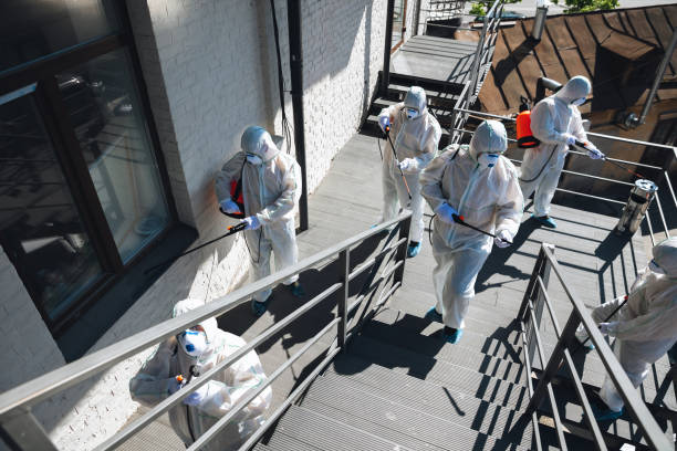 Best Black Mold Removal  in Perry Park, CO