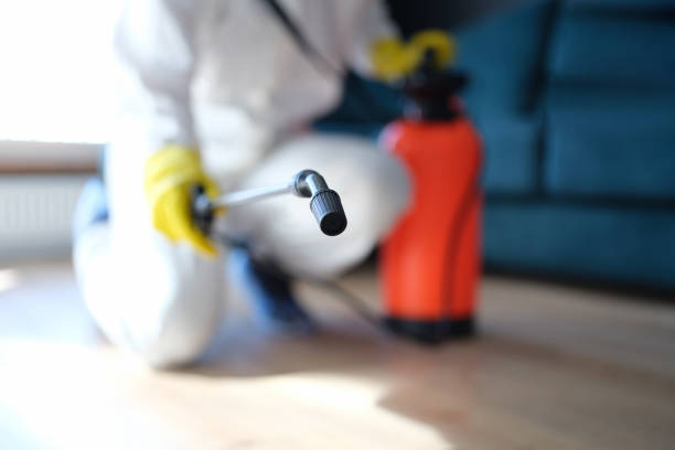 Best Commercial Mold Inspection  in Perry Park, CO
